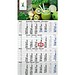 Geiger-Notes Monatskalender Budget 4 green+blue, inkl. Druck, blau