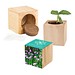 Pflanz-Holz Maxi mit Samen, Schnittlauch, 1-seit. Druck