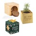 Pflanz-Holz Maxi Star-Box Xmas mit Fichtensamen, Fichte, 1-seit. Druck