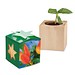 Pflanz-Holz Star-Box mit Samen, Gewürzpaprika, 1-seit. Druck