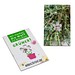 Samen-Karte-Mini Blume, Thymian, 2-seit. Druck