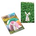 Samen-Karte-Mini Ostern, Gartenkresse, 2-seit. Druck