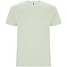 Mist Green