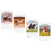 Bild-Wandkalender Pferde 2027