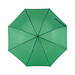 Taschenschirm, grün