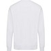 Iqoniq Etosha Lightweight Sweater aus recycelter Baumwolle, recycled white, XXS