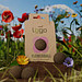 Seedbomb - Flower-Ball Bienenwiese, braun