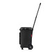 reisenthel® Einkaufsroller carrycruiser plus, frame black