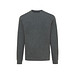 Iqoniq Denali ungefärbt. Rundhals-Sweater aus recycelter BW, ungefärbtes Anthrazit, M