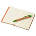 Notizbuch mit Kugelschreiber Mini, liniert, natur/grün