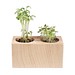 Pflanz-Holz 2er Set mit Samen, Persischer Klee, 1-seit. Druck