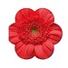 Samenpapier in Klappkärtchen Blume, Blümchen, 2-seit. Druck