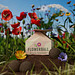 Seedbomb 3-er Set - Flower-Ball Bienenwiese , braun
