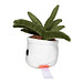 MiniFeet® Displayreiniger Schmoozies® Evergreenies® Aloe Vera