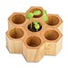 Pflanz-Holz Hexagon mit Samen, Ostern, Gewürzpaprika, 1-seit. Druck