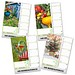 Bildkalender Günthers Gartenplaner 2027