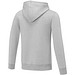 Charon Herren Kapuzenpullover, heather grau, XS