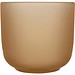 Male Set aus Holztablett und Glastassen, matt, oatmeal