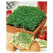 Pflanz-Holz Magnet mit Samen, Gartenkresse, 1-seit. Druck