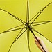 Automatik-Stockschirm, Gelb